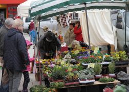 Handwerker Markt Bei Finke In Jena   44